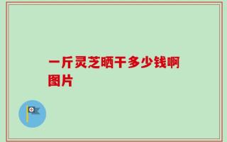 一斤灵芝晒干多少钱啊图片