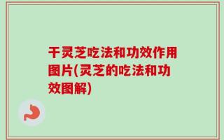 干灵芝吃法和功效作用图片(灵芝的吃法和功效图解)