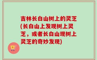 吉林长白山树上的灵芝(长白山上发现树上灵芝，或者长白山现树上灵芝的奇妙发现)