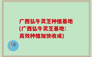 广西弘牛灵芝种植基地(广西弘牛灵芝基地：高效种植加快收成)