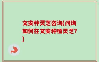 文安种灵芝咨询(问询如何在文安种植灵芝？)