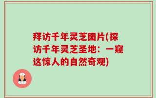 拜访千年灵芝图片(探访千年灵芝圣地：一窥这惊人的自然奇观)