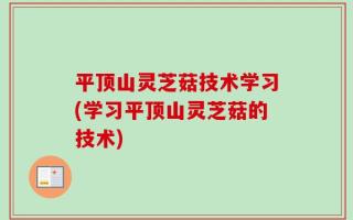 平顶山灵芝菇技术学习(学习平顶山灵芝菇的技术)