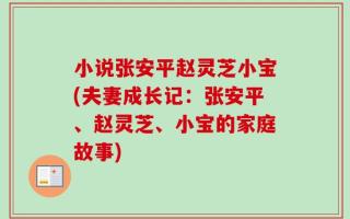 小说张安平赵灵芝小宝(夫妻成长记：张安平、赵灵芝、小宝的家庭故事)