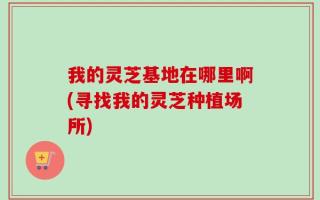 我的灵芝基地在哪里啊(寻找我的灵芝种植场所)