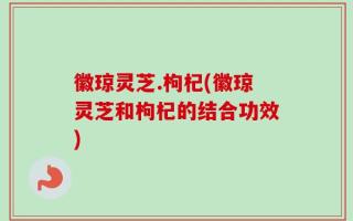 徽琼灵芝.枸杞(徽琼灵芝和枸杞的结合功效)