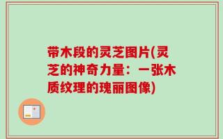 带木段的灵芝图片(灵芝的神奇力量：一张木质纹理的瑰丽图像)