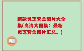 新款灵芝套盒图片大全集(高清大图集：最新灵芝套盒图片汇总。)