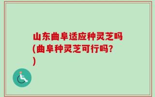 山东曲阜适应种灵芝吗(曲阜种灵芝可行吗？)