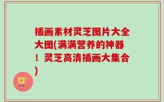 插画素材灵芝图片大全大图(满满营养的神器！灵芝高清插画大集合)