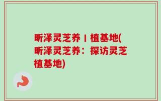 昕泽灵芝养丨植基地(昕泽灵芝养：探访灵芝植基地)