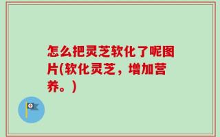 怎么把灵芝软化了呢图片(软化灵芝，增加营养。)
