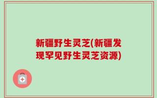 新疆野生灵芝(新疆发现罕见野生灵芝资源)