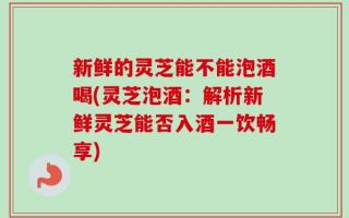 新鲜的灵芝能不能泡酒喝(灵芝泡酒：解析新鲜灵芝能否入酒一饮畅享)
