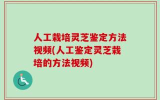 人工栽培灵芝鉴定方法视频(人工鉴定灵芝栽培的方法视频)