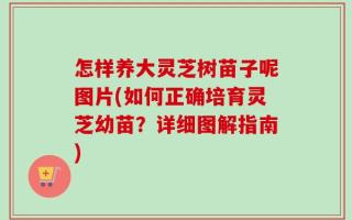 怎样养大灵芝树苗子呢图片(如何正确培育灵芝幼苗？详细图解指南)