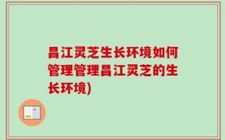 昌江灵芝生长环境如何管理管理昌江灵芝的生长环境)