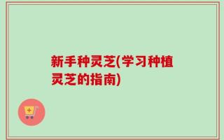 新手种灵芝(学习种植灵芝的指南)
