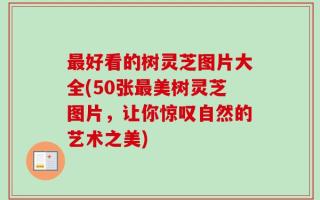 最好看的树灵芝图片大全(50张最美树灵芝图片，让你惊叹自然的艺术之美)