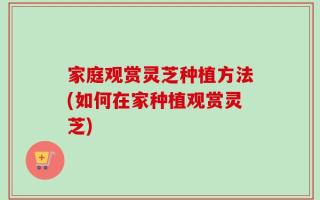 家庭观赏灵芝种植方法(如何在家种植观赏灵芝)