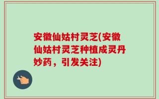 安徽仙姑村灵芝(安徽仙姑村灵芝种植成灵丹妙药，引发关注)