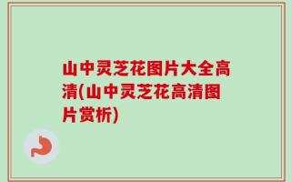 山中灵芝花图片大全高清(山中灵芝花高清图片赏析)