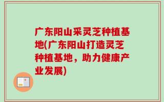 广东阳山采灵芝种植基地(广东阳山打造灵芝种植基地，助力健康产业发展)
