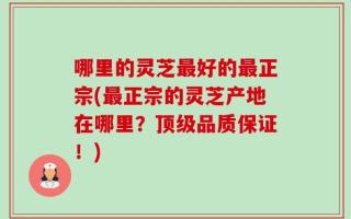 哪里的灵芝最好的最正宗(最正宗的灵芝产地在哪里？顶级品质保证！)