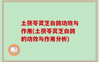 土茯苓灵芝白鸽功效与作用(土茯苓灵芝白鸽的功效与作用分析)