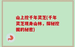 山上挖千年灵芝(千年灵芝现身山林，探秘挖掘的秘密)