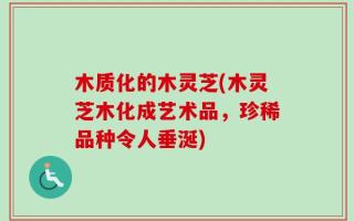 木质化的木灵芝(木灵芝木化成艺术品，珍稀品种令人垂涎)