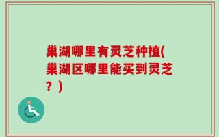 巢湖哪里有灵芝种植(巢湖区哪里能买到灵芝？)