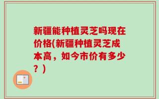 新疆能种植灵芝吗现在价格(新疆种植灵芝成本高，如今市价有多少？)