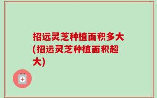 招远灵芝种植面积多大(招远灵芝种植面积超大)
