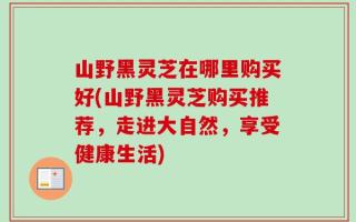山野黑灵芝在哪里购买好(山野黑灵芝购买推荐，走进大自然，享受健康生活)
