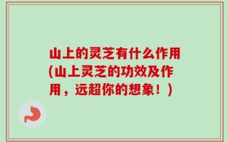 山上的灵芝有什么作用(山上灵芝的功效及作用，远超你的想象！)