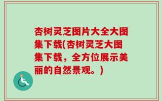 杏树灵芝图片大全大图集下载(杏树灵芝大图集下载，全方位展示美丽的自然景观。)