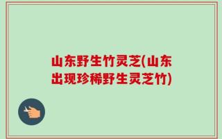 山东野生竹灵芝(山东出现珍稀野生灵芝竹)