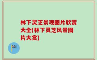 林下灵芝景观图片欣赏大全(林下灵芝风景图片大赏)