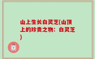 山上生长白灵芝(山顶上的珍贵之物：白灵芝)