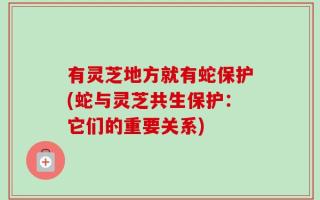 有灵芝地方就有蛇保护(蛇与灵芝共生保护：它们的重要关系)