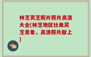 林芝灵芝照片照片高清大全(林芝地区壮美灵芝景象，高清照片献上)