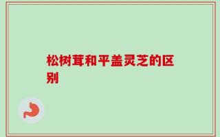 松树茸和平盖灵芝的区别