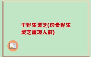 干野生灵芝(珍贵野生灵芝重现人前)