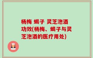 杨梅 蝎子 灵芝泡酒功效(杨梅、蝎子与灵芝泡酒的医疗用处)