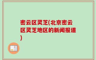 密云区灵芝(北京密云区灵芝地区的新闻报道)