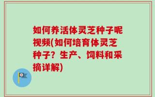 如何养活体灵芝种子呢视频(如何培育体灵芝种子？生产、饲料和采摘详解)