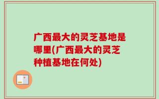 广西最大的灵芝基地是哪里(广西最大的灵芝种植基地在何处)