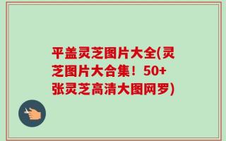 平盖灵芝图片大全(灵芝图片大合集！50+张灵芝高清大图网罗)