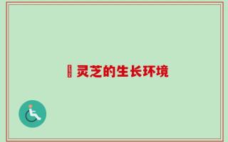 枦灵芝的生长环境